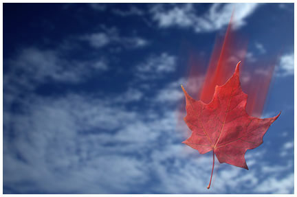 FallLeafCOMP102001FINAL.jpg